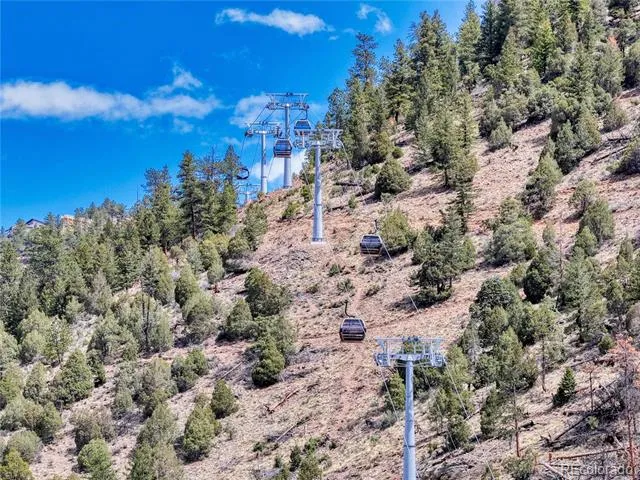 Lots 1 & 2 Gertrude Edgardine Idaho Springs, CO 80452