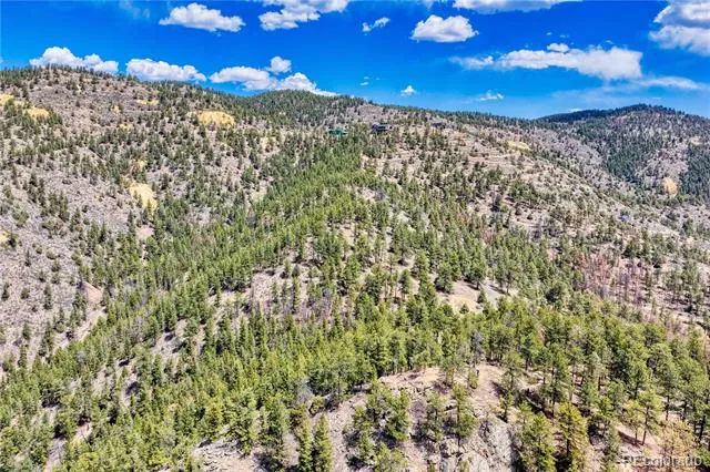 Lots 1 & 2 Gertrude Edgardine Idaho Springs, CO 80452