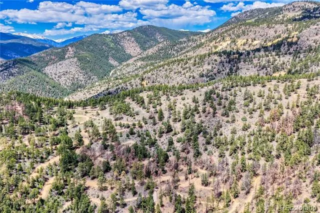Lots 1 & 2 Gertrude Edgardine Idaho Springs, CO 80452