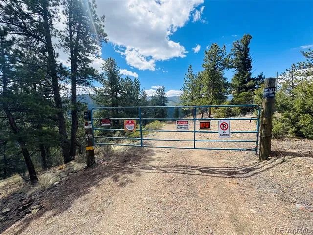 Lots 1 & 2 Gertrude Edgardine Idaho Springs, CO 80452