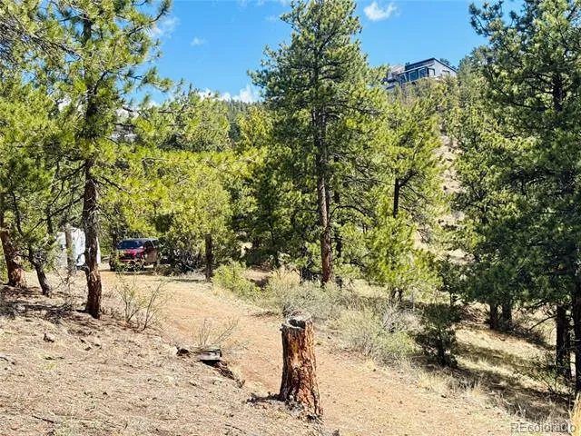 Lots 1 & 2 Gertrude Edgardine Idaho Springs, CO 80452