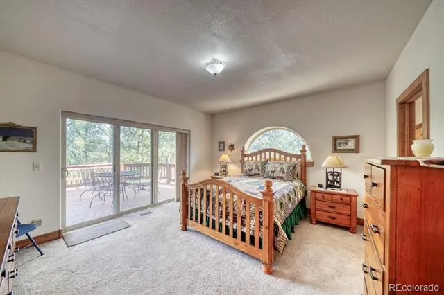 30800 West Ridge Buena Vista, CO 81211
