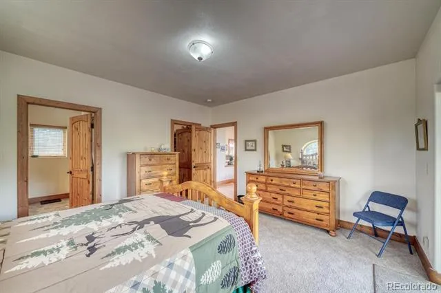 30800 West Ridge Buena Vista, CO 81211