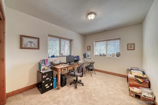 30800 West Ridge Buena Vista, CO 81211