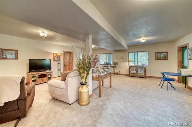 30800 West Ridge Buena Vista, CO 81211