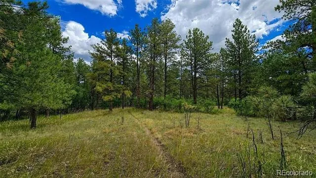 00 Westwood Road Colorado Springs, CO 80919