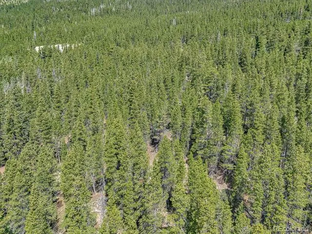 Lot 836 Nebraska Drive Idaho Springs, CO 80452