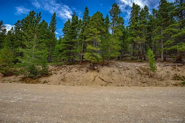 Lot 836 Nebraska Drive Idaho Springs, CO 80452