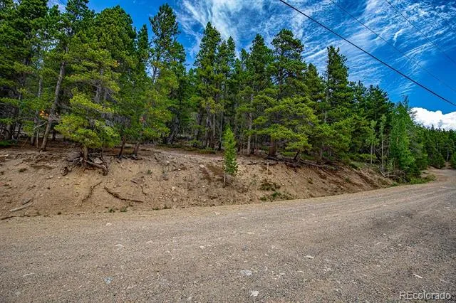 Lot 836 Nebraska Drive Idaho Springs, CO 80452