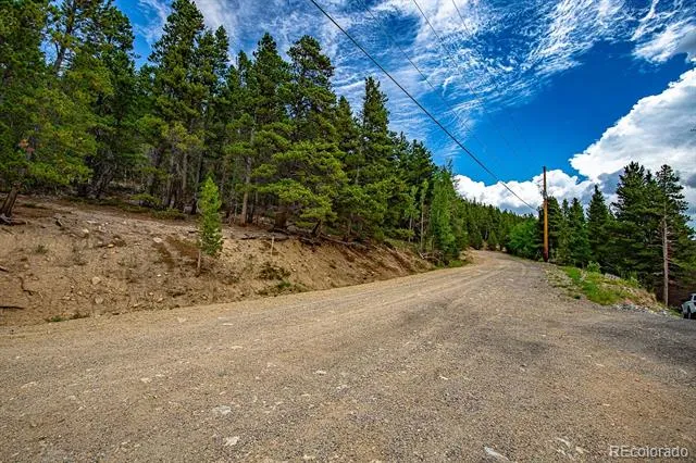 Lot 836 Nebraska Drive Idaho Springs, CO 80452