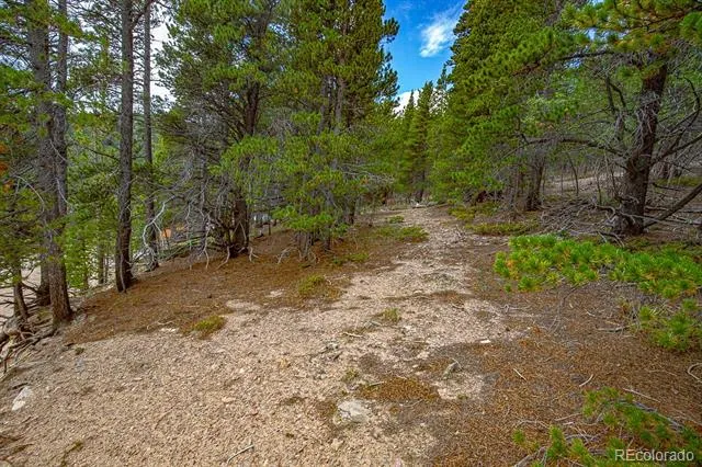 Lot 836 Nebraska Drive Idaho Springs, CO 80452