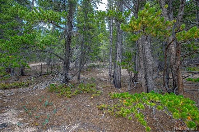 Lot 836 Nebraska Drive Idaho Springs, CO 80452