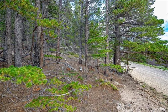 Lot 836 Nebraska Drive Idaho Springs, CO 80452