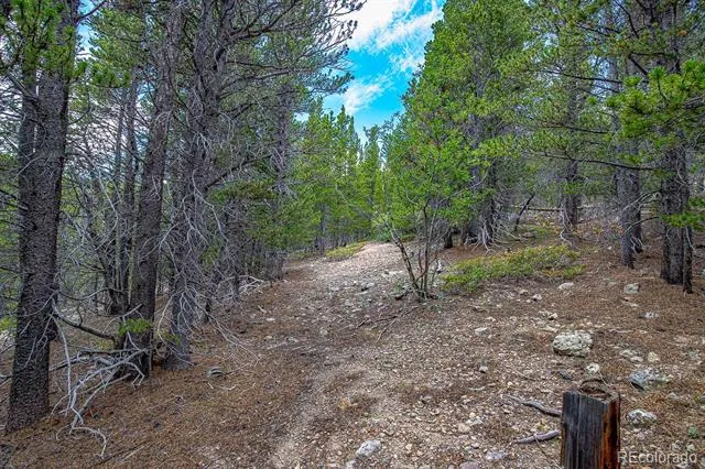 Lot 836 Nebraska Drive Idaho Springs, CO 80452