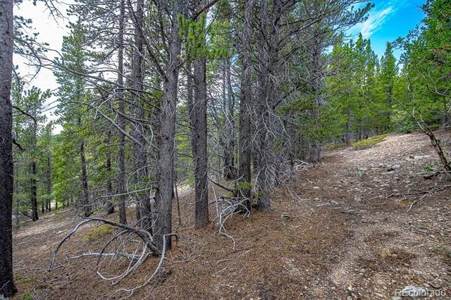 Lot 836 Nebraska Drive Idaho Springs, CO 80452