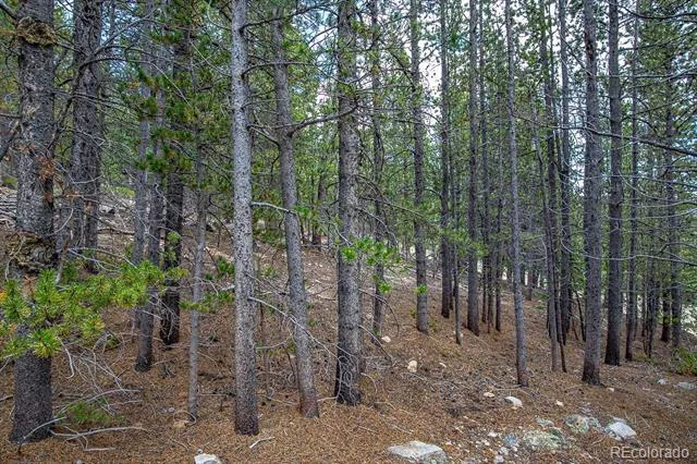 Lot 836 Nebraska Drive Idaho Springs, CO 80452