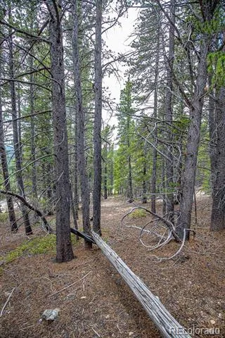 Lot 836 Nebraska Drive Idaho Springs, CO 80452