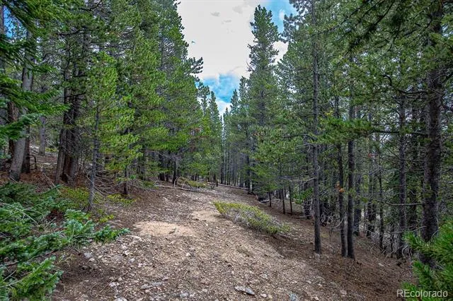 Lot 836 Nebraska Drive Idaho Springs, CO 80452