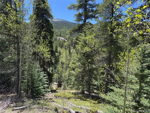 190 Blue Bell Lane Idaho Springs, CO 80452