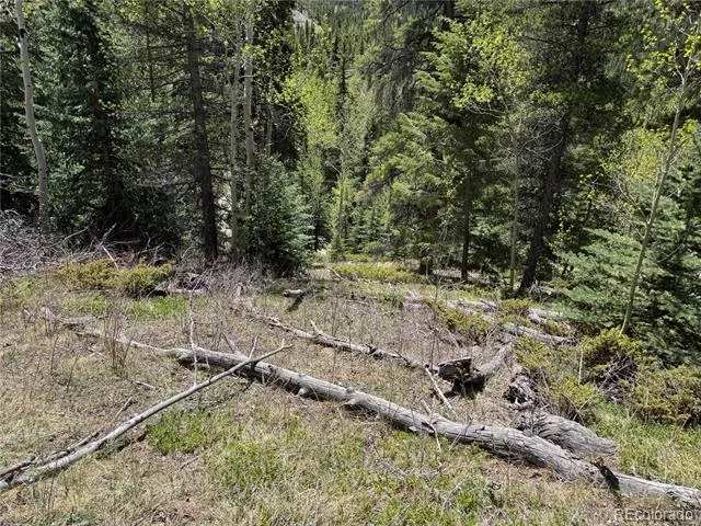 190 Blue Bell Lane Idaho Springs, CO 80452