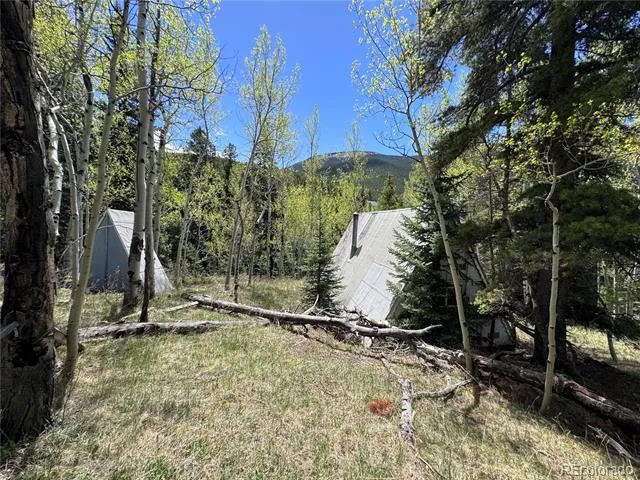 190 Blue Bell Lane Idaho Springs, CO 80452
