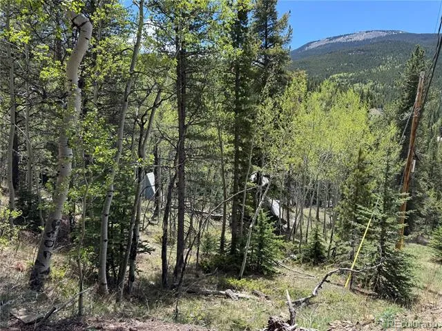 190 Blue Bell Lane Idaho Springs, CO 80452