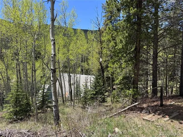 190 Blue Bell Lane Idaho Springs, CO 80452
