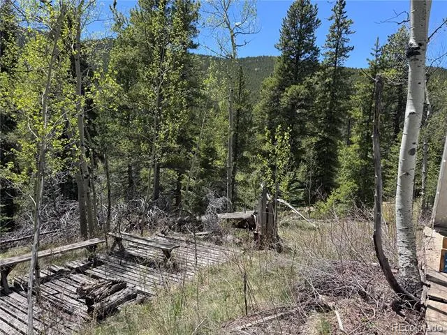 190 Blue Bell Lane Idaho Springs, CO 80452
