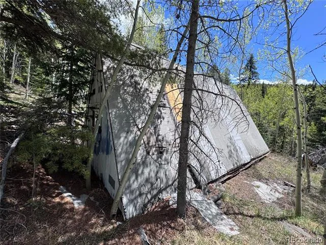 190 Blue Bell Lane Idaho Springs, CO 80452