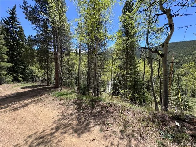 190 Blue Bell Lane Idaho Springs, CO 80452