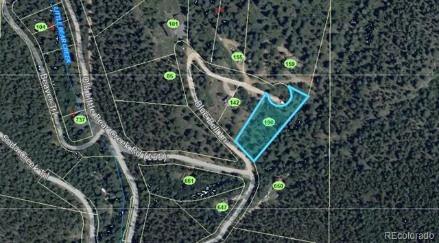 190 Blue Bell Lane Idaho Springs, CO 80452