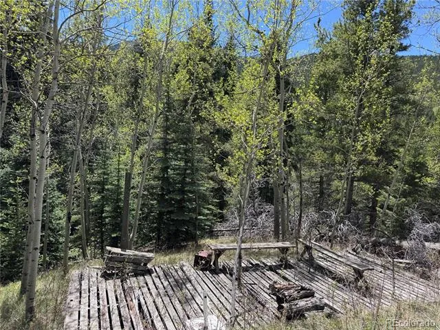 190 Blue Bell Lane Idaho Springs, CO 80452