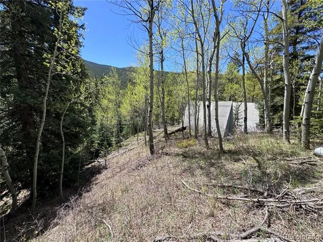 190 Blue Bell Lane Idaho Springs, CO 80452