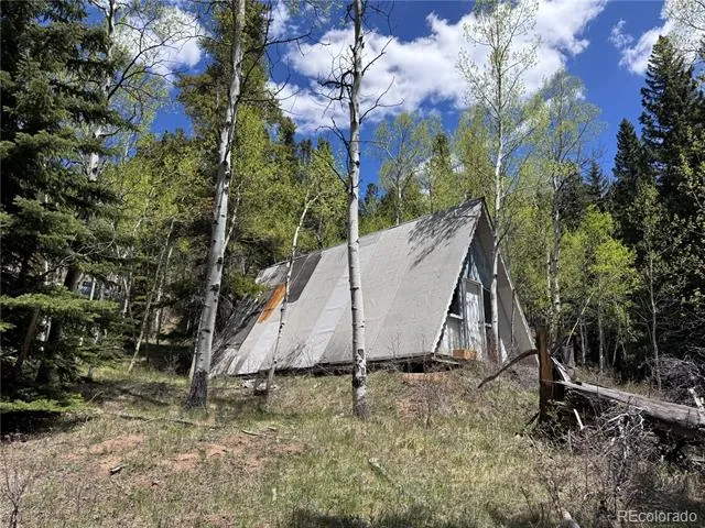 190 Blue Bell Lane Idaho Springs, CO 80452