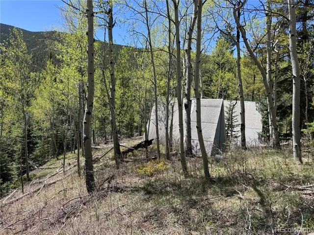 190 Blue Bell Lane Idaho Springs, CO 80452