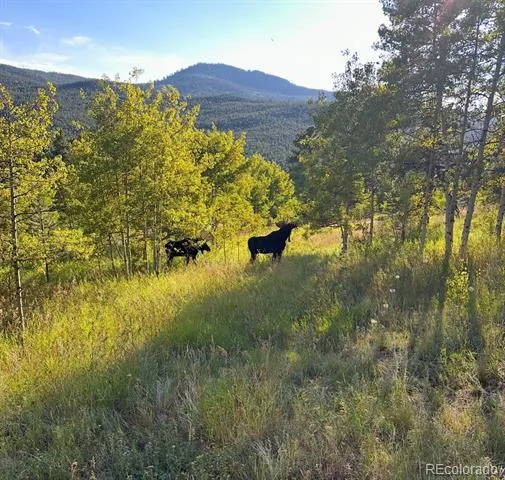 1549 Golden Gate Drive Golden, CO 80403