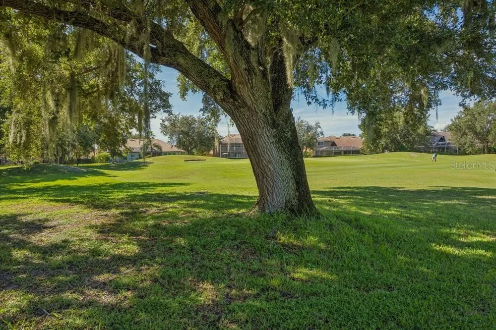 1413 EL PARDO DRIVE New Port Richey, FL 34655
