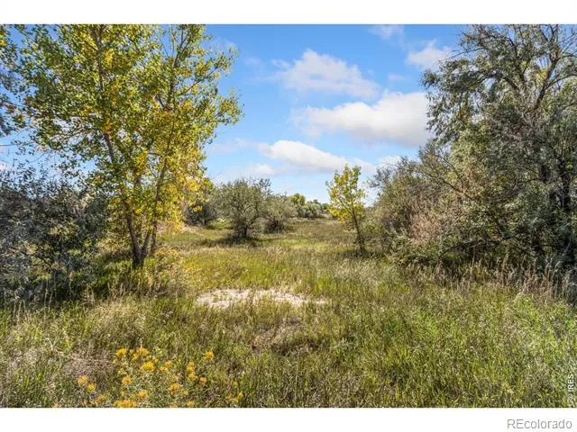 5031 E County Road 48 Fort Collins, CO 80524