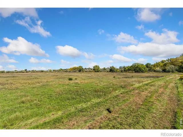 5031 E County Road 48 Fort Collins, CO 80524