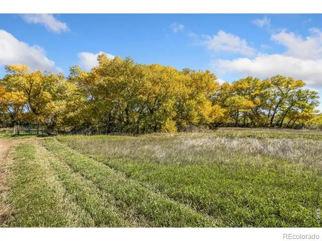 5031 E County Road 48 Fort Collins, CO 80524