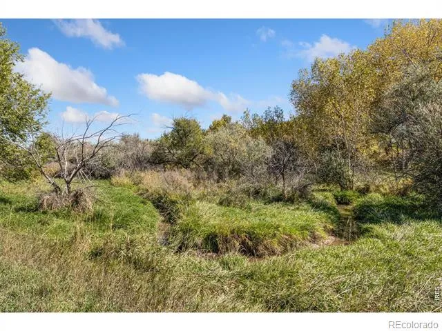 5031 E County Road 48 Fort Collins, CO 80524