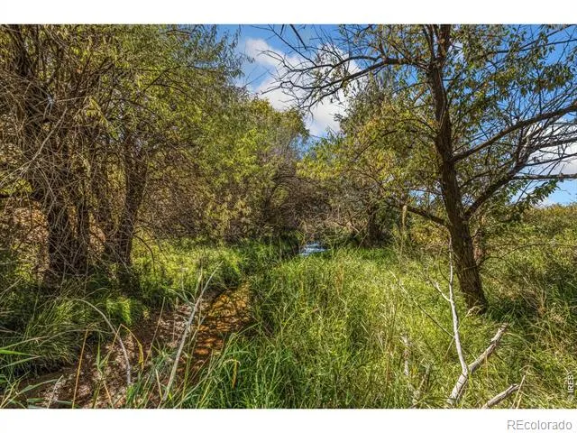 5031 E County Road 48 Fort Collins, CO 80524