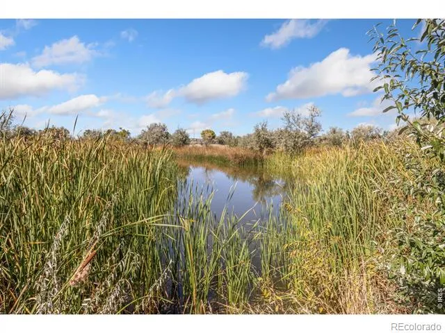 5031 E County Road 48 Fort Collins, CO 80524