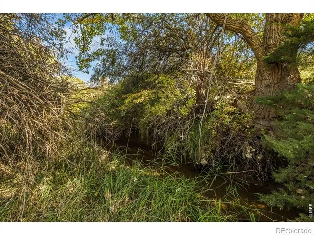 5031 E County Road 48 Fort Collins, CO 80524