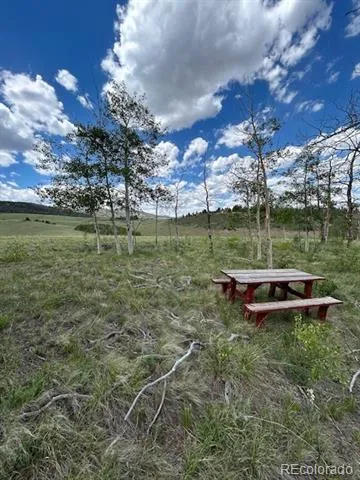 807 Bolster Drive Hartsel, CO 80449