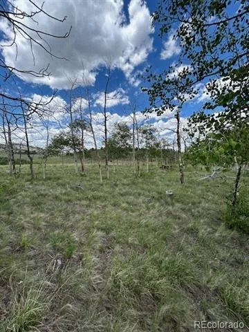 807 Bolster Drive Hartsel, CO 80449