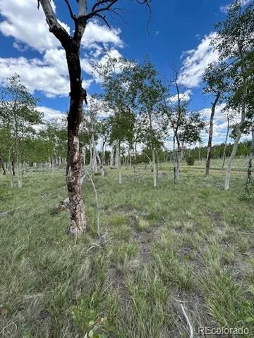 807 Bolster Drive Hartsel, CO 80449