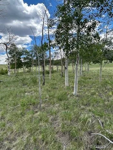 807 Bolster Drive Hartsel, CO 80449