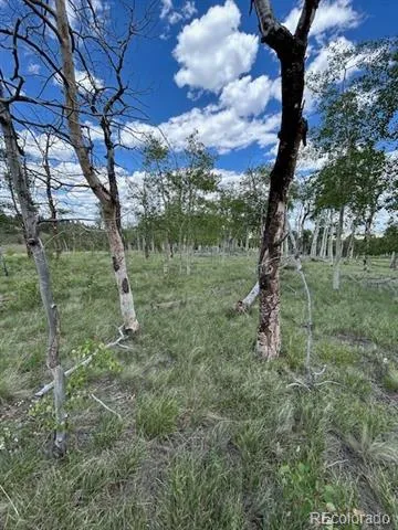 807 Bolster Drive Hartsel, CO 80449