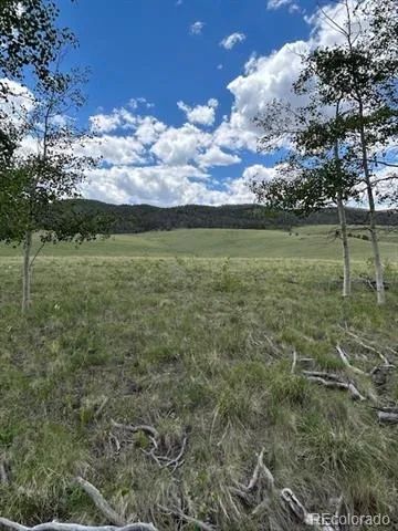 807 Bolster Drive Hartsel, CO 80449